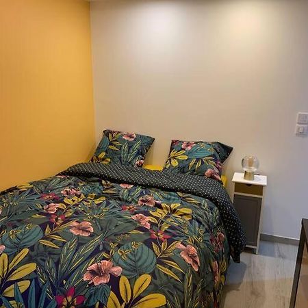 Appartement Etat Neuf La Chantalane -Proche Centre-Ville Канны Экстерьер фото