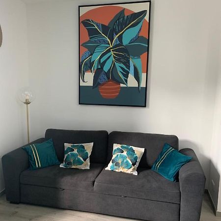 Appartement Etat Neuf La Chantalane -Proche Centre-Ville Канны Экстерьер фото