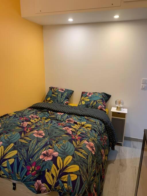Appartement Etat Neuf La Chantalane -Proche Centre-Ville Канны Экстерьер фото